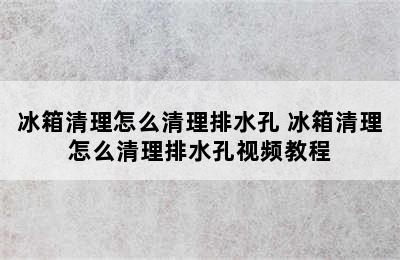 冰箱清理怎么清理排水孔 冰箱清理怎么清理排水孔视频教程